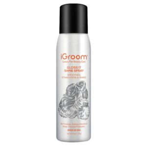 IGROOM GLOSS IT 113 GR - BRILLO